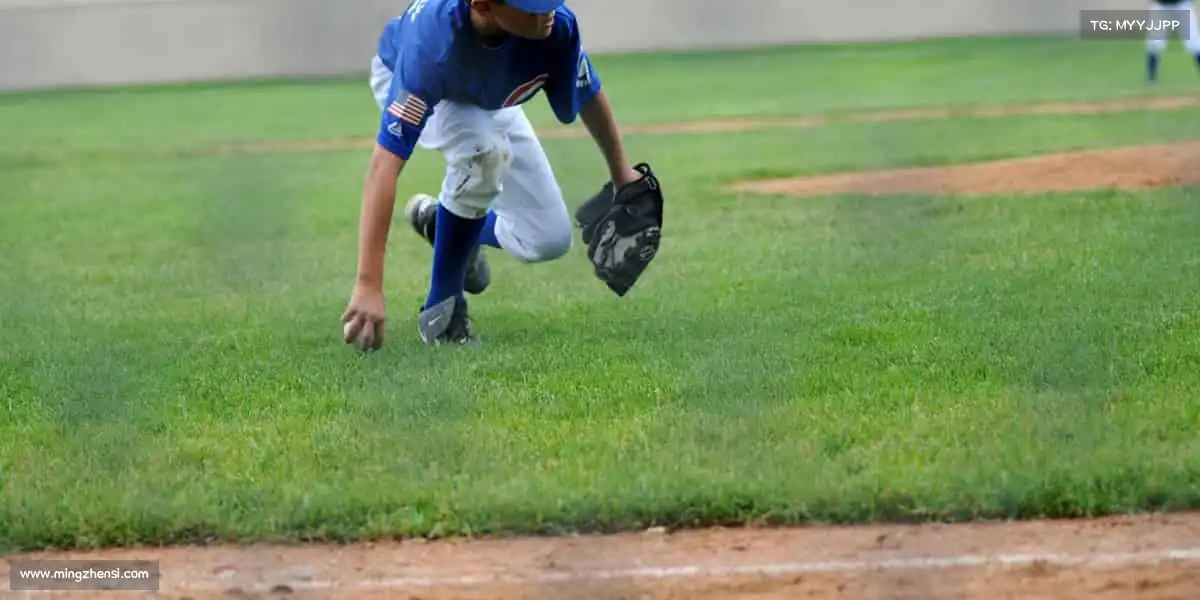 我们的品牌价值